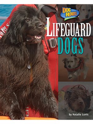 cover image of Lifeguard Dogs